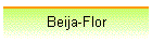 Beija-Flor