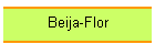 Beija-Flor